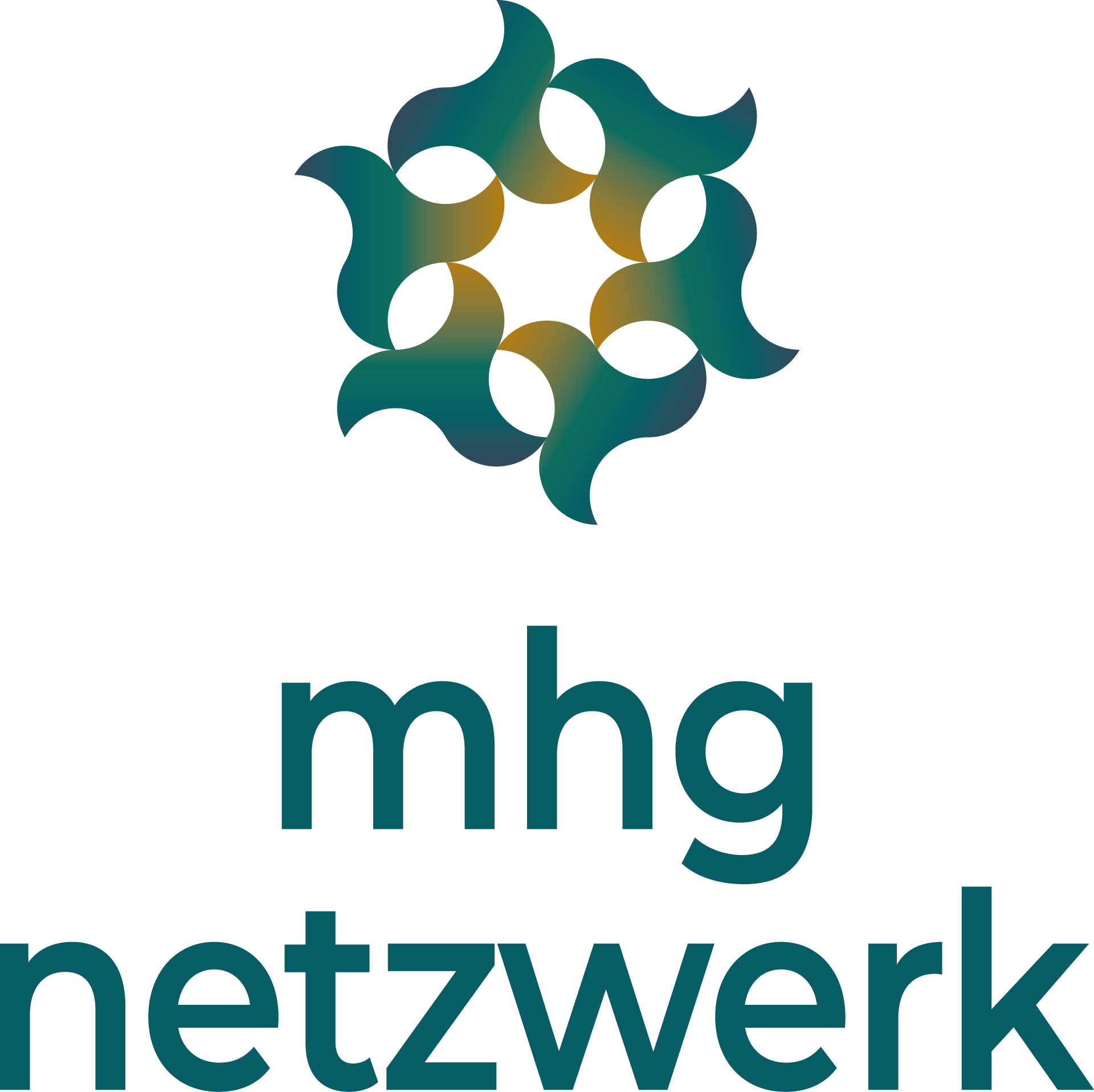 Kooperationspartner 5